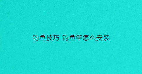 钓鱼技巧钓鱼竿怎么安装(新手钓鱼竿安装视频)